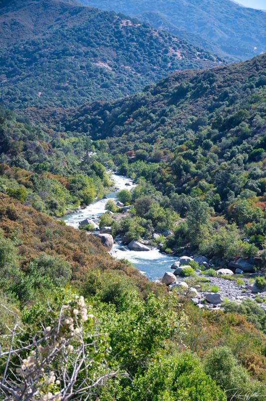 Sequoia National Park