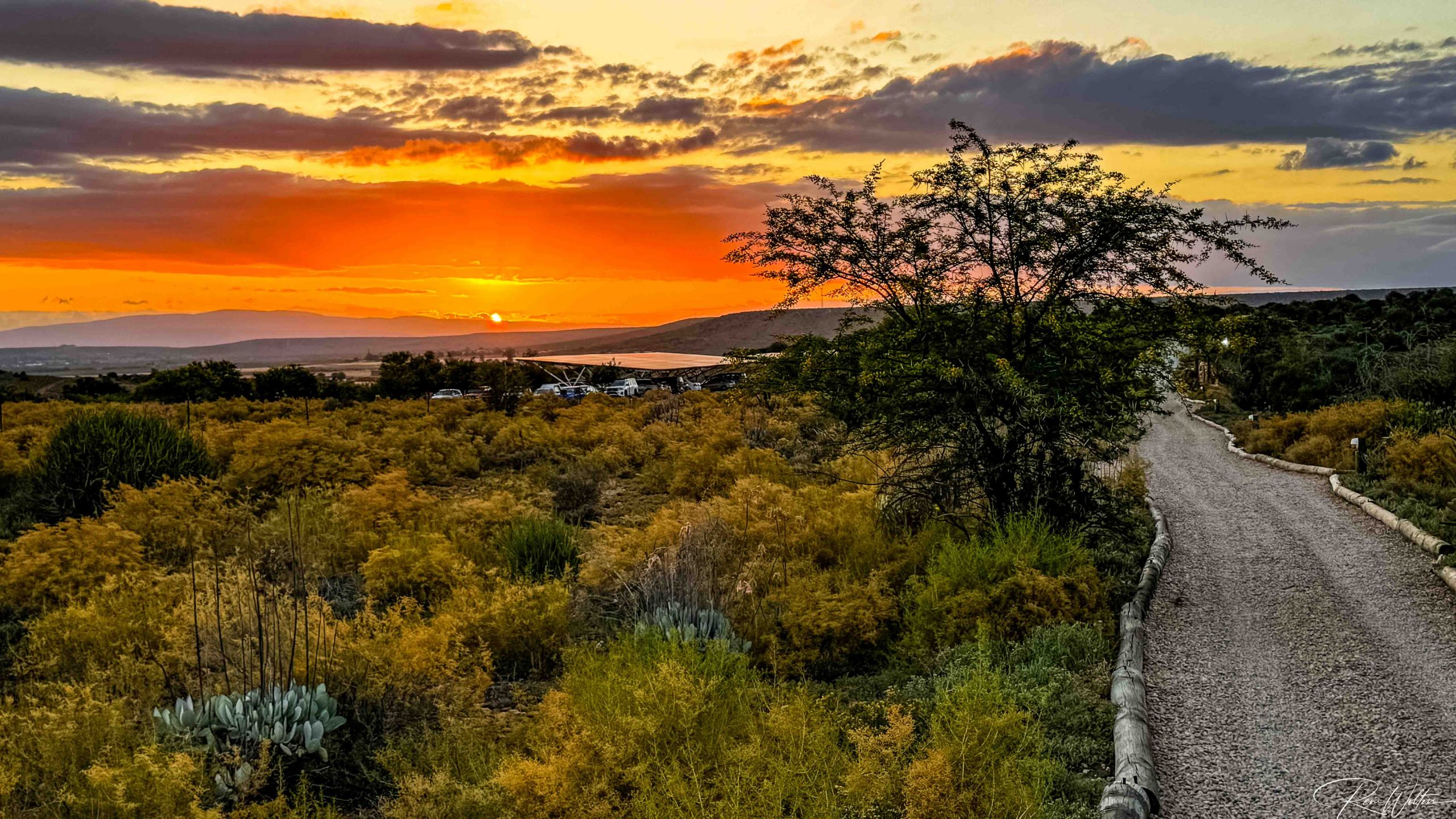 Buffelsdrift Game Lodge