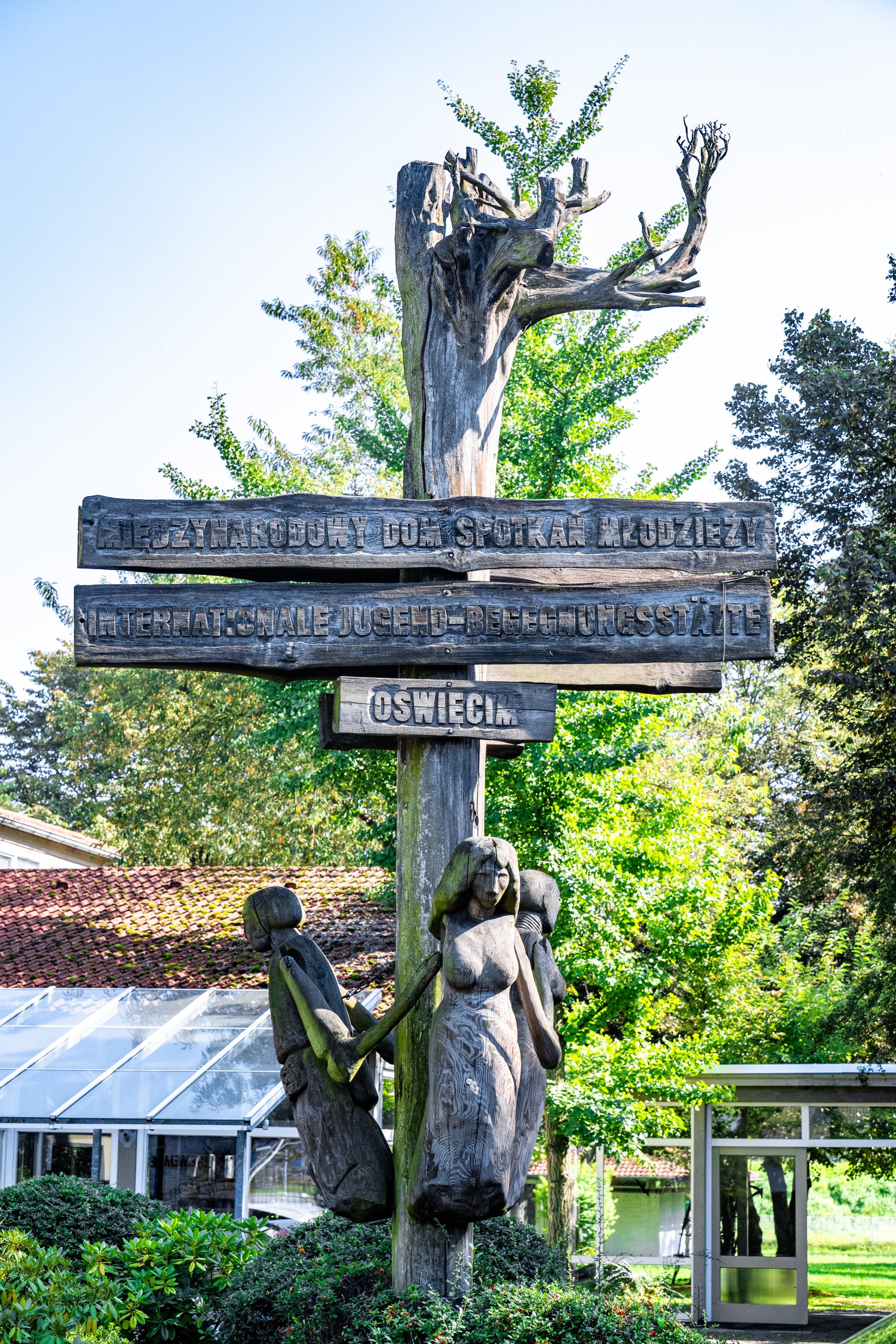 Auschwitz 100 Wasserbüffel