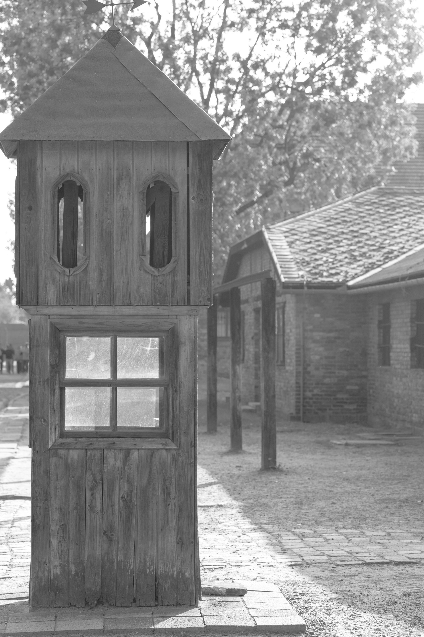 Auschwitz 113 Elefant