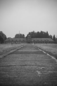 Auschwitz 119