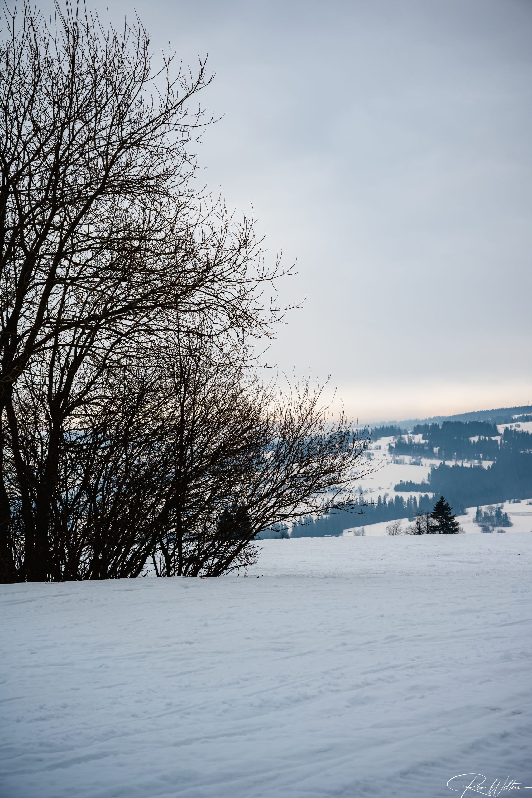Zakopane 103 Wasserbüffel
