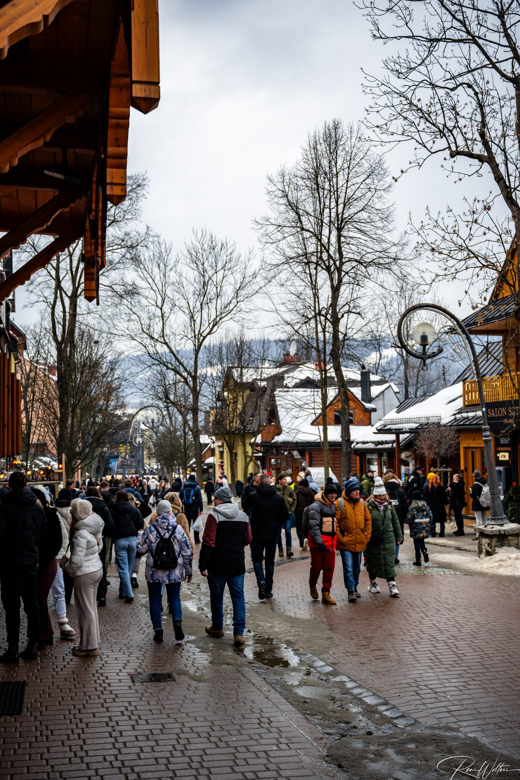 Zakopane 118 Elefant