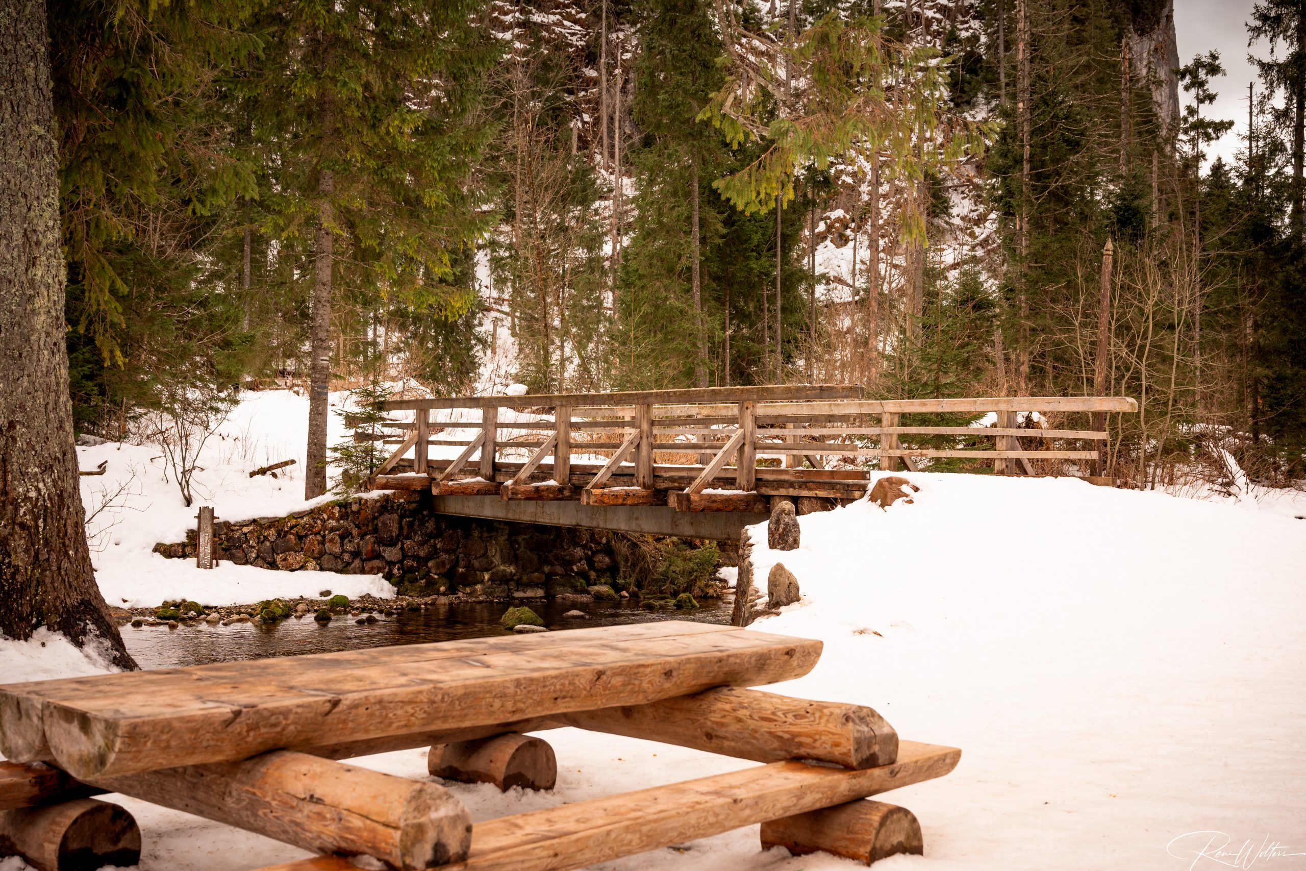 Zakopane 156 Elefant